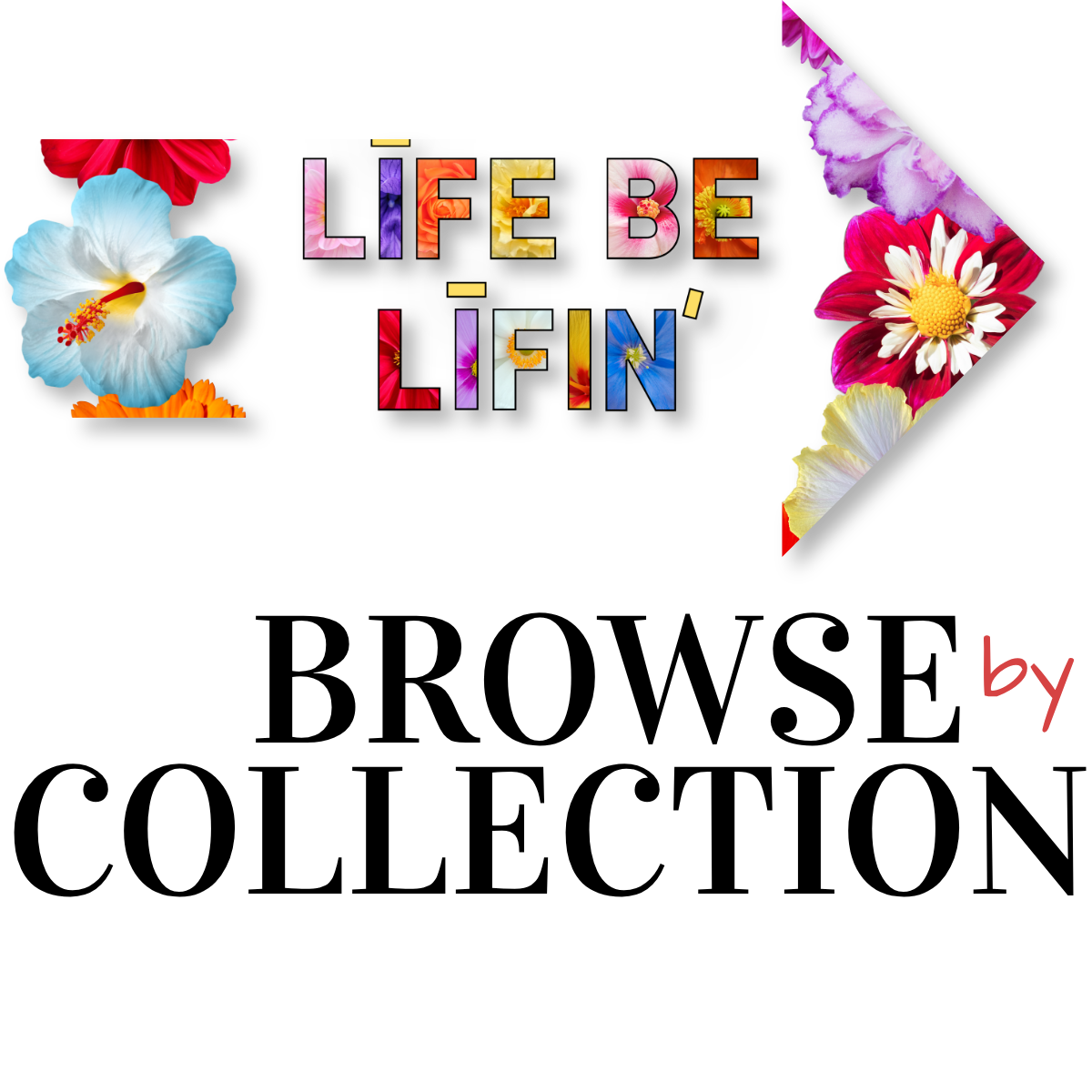 BROWSE by COLLECTION